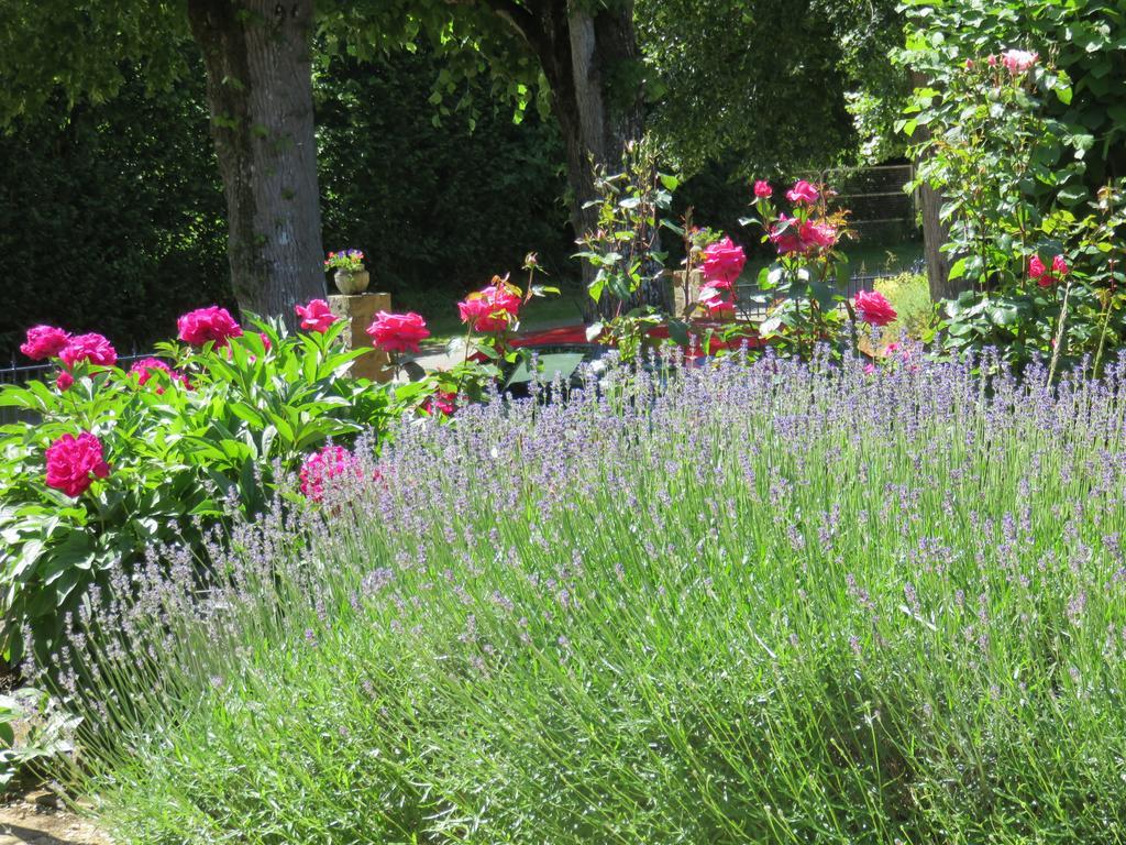 Les Quatre Saisons Bed and Breakfast Moitron-sur-Sarthe Εξωτερικό φωτογραφία