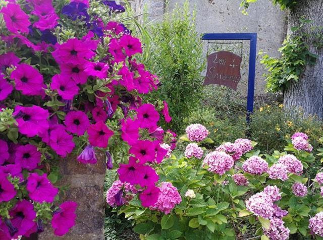 Les Quatre Saisons Bed and Breakfast Moitron-sur-Sarthe Εξωτερικό φωτογραφία
